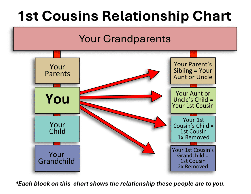 Family relationship chart -1st cousins