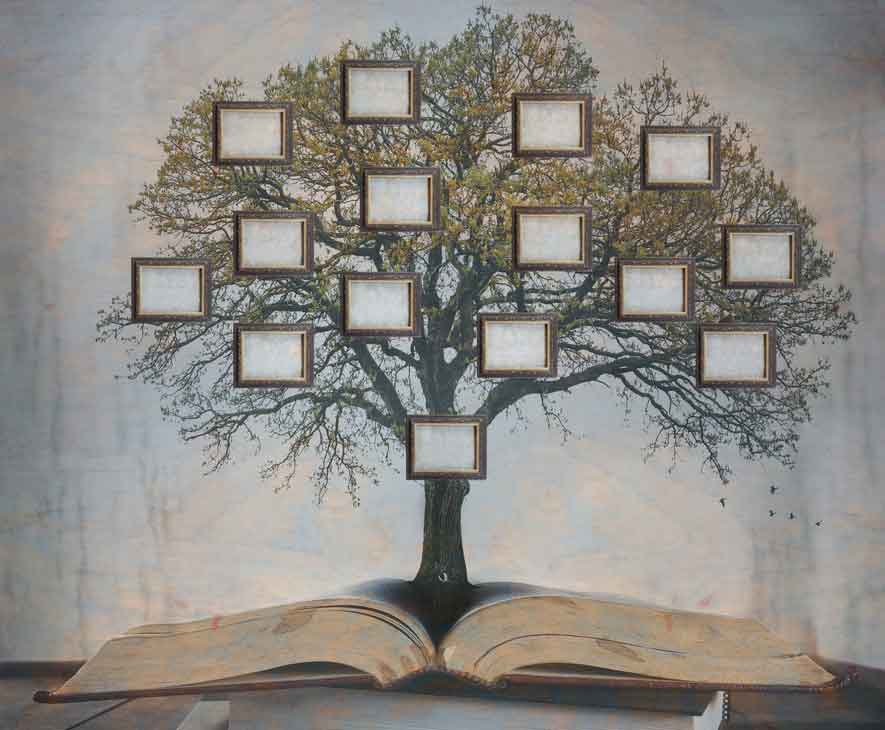 Illustration of a family tree growing out of an open book