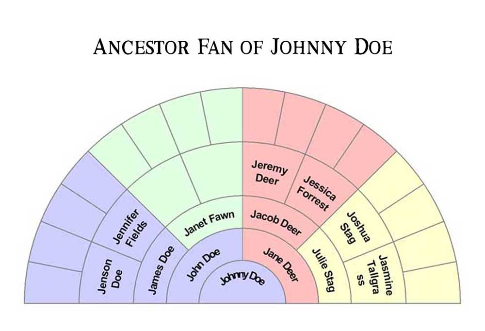 Genealogy Organizer: A Family Genealogy Charts And Forms, Family