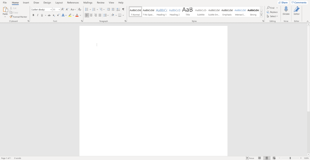 Screen shot of a blank word document