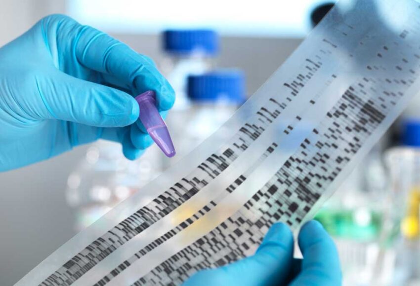 DNA Testing and Genealogy: Unraveling Your Ancestral Roots - Root To ...